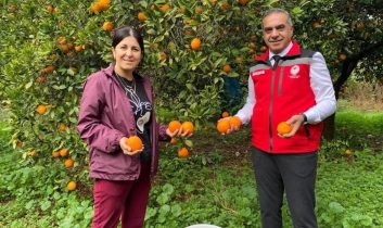 Aydın’da 93 bin 243 ton narenciye üretildi