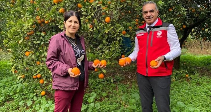 Aydın’da 93 bin 243 ton narenciye üretildi