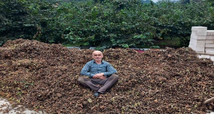 Fındık fiyatı düşürülmeye mi çalışılıyor?