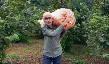 Fındık üreticisine kritik uyarı; İhtiyacınız yoksa satmayın