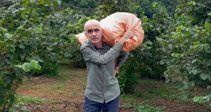 Fındık üreticisine kritik uyarı; İhtiyacınız yoksa satmayın