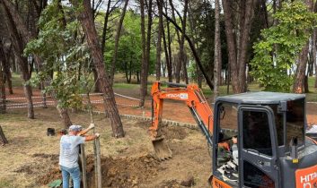 Ünye Çamlık’ta kuruyan ağaçların yerine yenileri dikiliyor