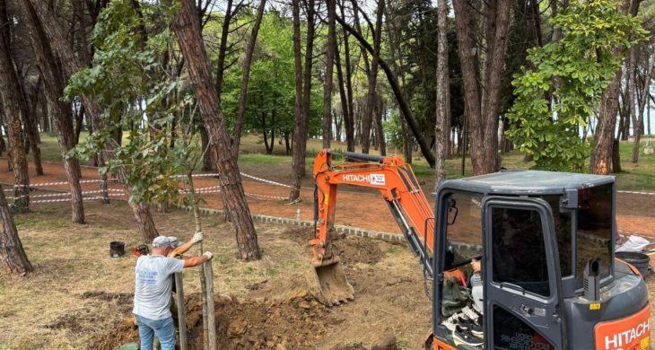 Ünye Çamlık’ta kuruyan ağaçların yerine yenileri dikiliyor