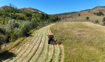 Tarım ÜFE, haziran ayında yüzde 18,82 artış gösterdi