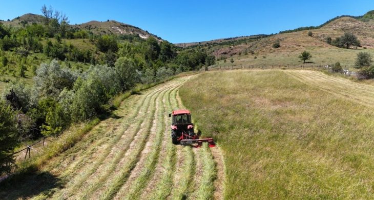 Tarım ÜFE, haziran ayında yüzde 18,82 artış gösterdi
