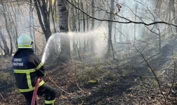 Ordu’da son bir haftada 40 yangın