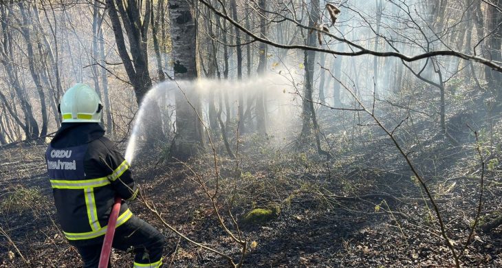 Ordu’da son bir haftada 40 yangın