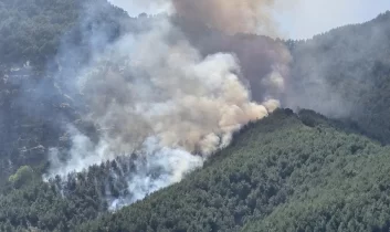 Temmuz’da 61 orman yangını: 4 kişi tutuklandı
