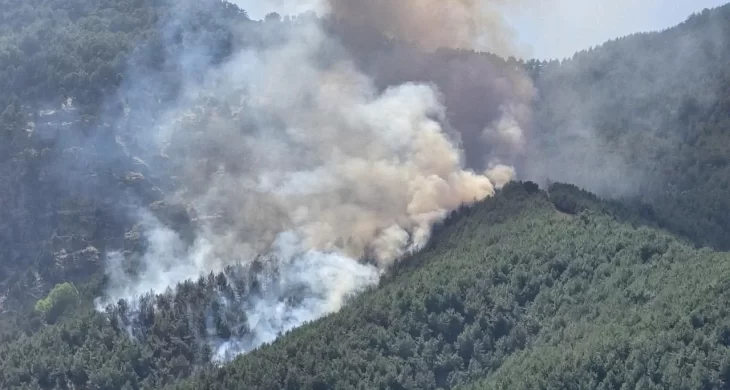 Bolu’da orman yangınına havadan ve karadan müdahale