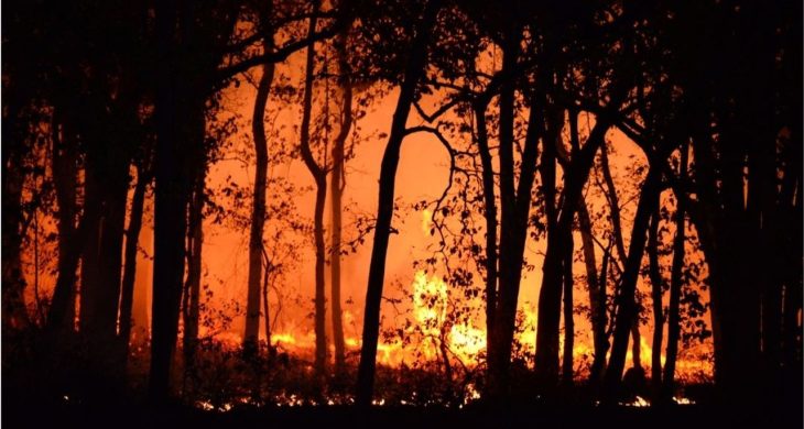 Çanakkale Ayvacık’ta orman yangını: 4 köy tahliye edildi