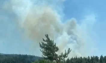 Osmaniye’nin Sumbas ilçesinde orman yangını