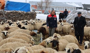 Arpaçay, Akçalar Köyü’nde yeni yılın ilk doğumları başladı