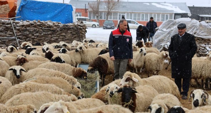 Arpaçay, Akçalar Köyü’nde yeni yılın ilk doğumları başladı