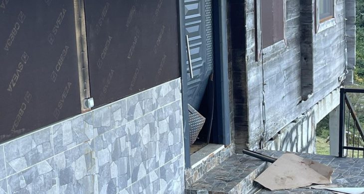 Rize’de ayı paniği