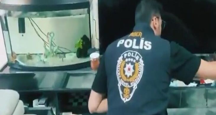 Siber Suçlarla Mücadele Kapsamında 170 Şüpheli Yakalandı