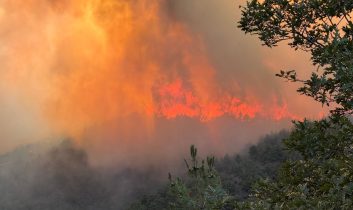 Sakarya-Bilecik sınırındaki orman yangını 4. gününde