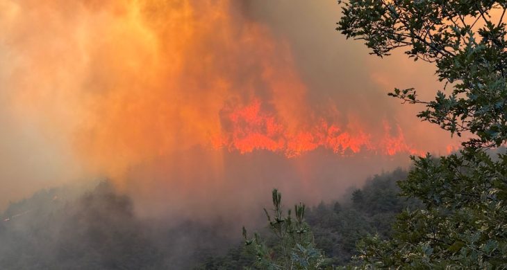 Sakarya-Bilecik sınırındaki orman yangını 4. gününde