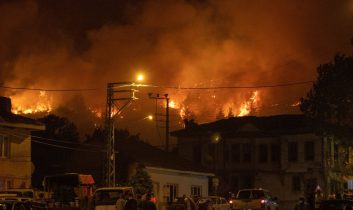 Sakarya-Bilecik orman yangını kontrol altında: Dumanlar Eskişehir’e ulaştı