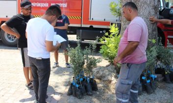 Antalya’lı üreticiye zeytin fidanı desteği!