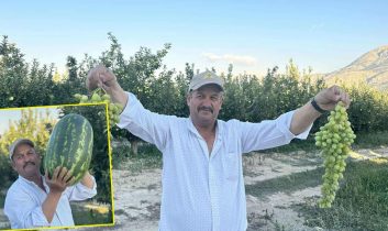 Senirkentli çiftçiler dev karpuzlarla rekor kırıyor