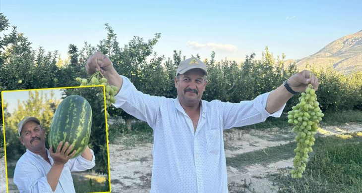 Senirkentli çiftçiler dev karpuzlarla rekor kırıyor