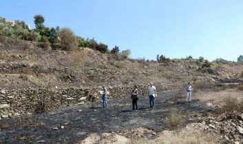 Alanya’daki yangınlar söndürüldü, hasar tespit çalışmaları başladı