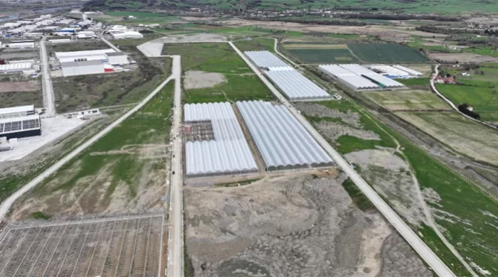 Samsun Sera Organize Tarım Bölgesi’nden Ekonomiye Büyük Katkı
