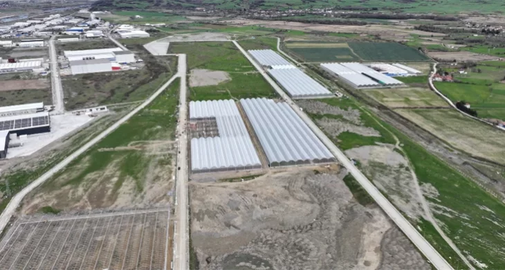 Samsun Sera Organize Tarım Bölgesi’nden Ekonomiye Büyük Katkı