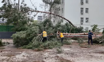 Şanlıurfa Büyükşehir Belediyesi, Birecik’te afetin yaralarını sarıyor