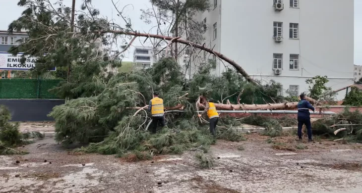 Şanlıurfa Büyükşehir Belediyesi, Birecik’te afetin yaralarını sarıyor