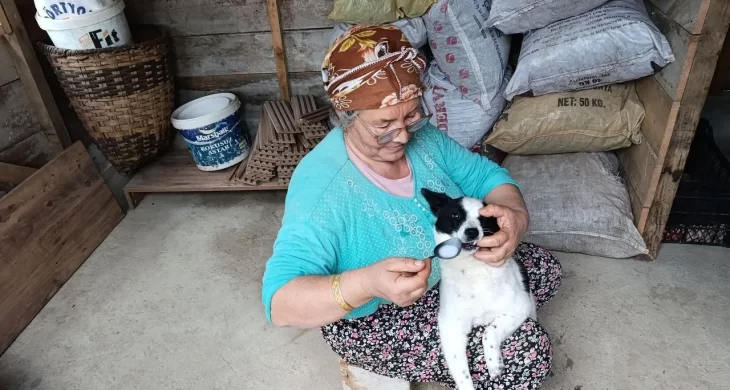 Yaralı köpeği anne şefkatiyle hayata döndürdü
