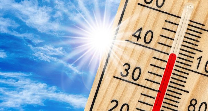 Orman yangınlarıyla mücadele için “Risk Yönetim Ekibi” kuruldu