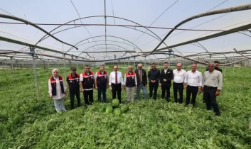 Siirt tarımında bir ilk