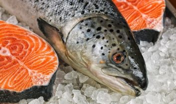Doğu Karadeniz’in somon ihracatı 6 ayda 81,5 milyon doları aştı