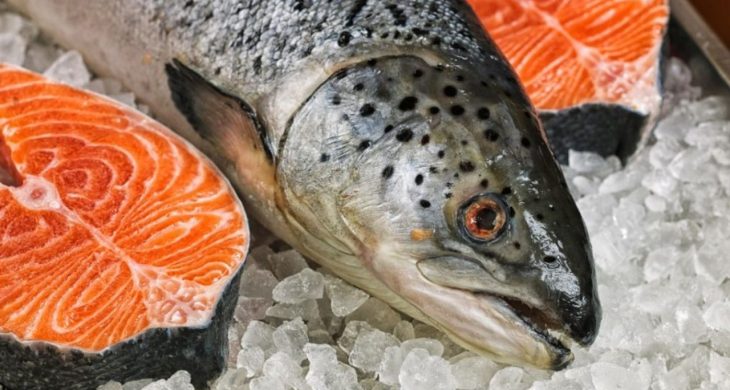 Doğu Karadeniz’in somon ihracatı 6 ayda 81,5 milyon doları aştı