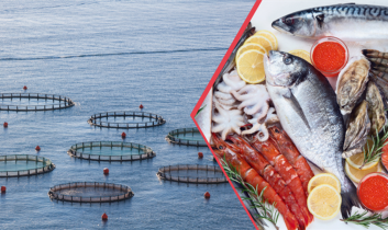 Doğu Karadeniz su ürünleri dünyaya ihraç ediliyor