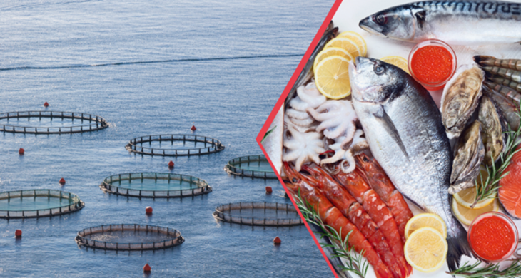 Doğu Karadeniz su ürünleri dünyaya ihraç ediliyor