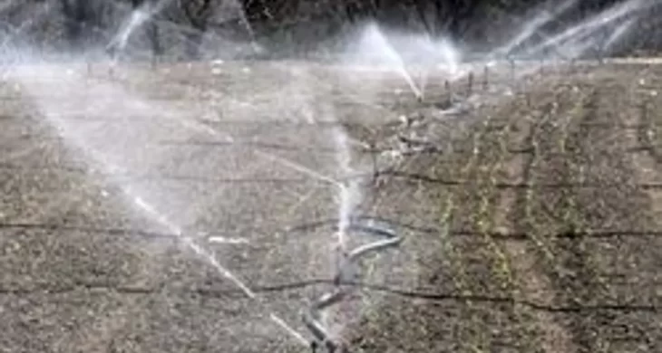 Ziraat Odası Başkanı Mustafa Ateş: Damla sulamaya geçmeliyiz