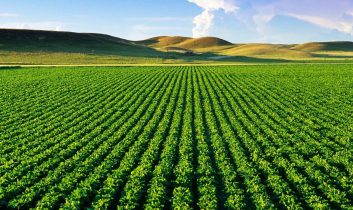 TÜİK’ten tarımda büyük veri hamlesi: Sayım seferberliği başladı