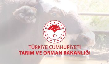 Tarım ve Orman Bakanlığı, şap hastalığının kontrol altına aldığını açıkladı
