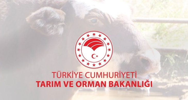 Tarım ve Orman Bakanlığı, şap hastalığının kontrol altına aldığını açıkladı