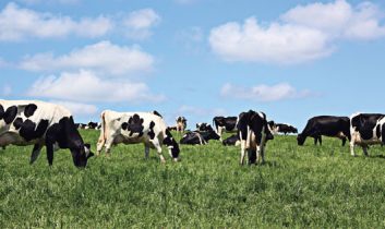 Aksaray’da 2’inci Tarım ve Hayvancılık Fuarı Hazırlıkları Tamamlandı