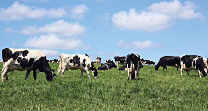 Aksaray’da 2’inci Tarım ve Hayvancılık Fuarı Hazırlıkları Tamamlandı