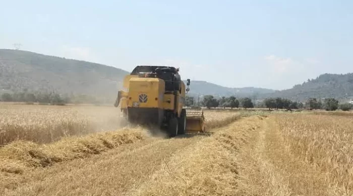 Tarımsal destekleme ödemeleri çiftçilerin hesaplarına aktarılıyor