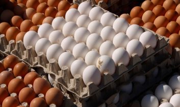 Tavuk eti üretimi artışta, yumurtada gerileme sürüyor