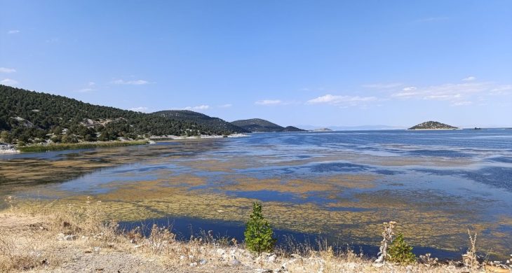 Kırkkepenekli Göleti’nde su çekilmesi balık ölümlerine yol açtı