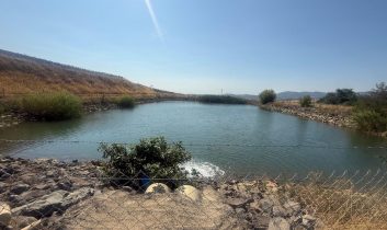 Tekirdağ’da Yazır Göleti kurudu: Su seviyesi yüzde 4’e geriledi