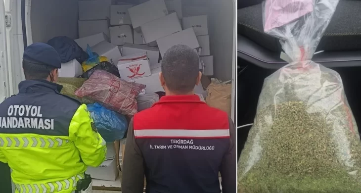 Tekirdağ’da 2 ton sağlıksız fıstık imha edildi