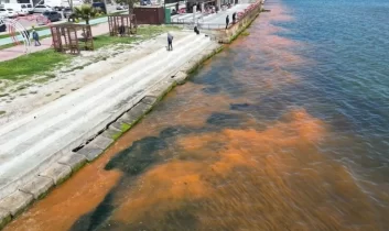 Tekirdağ’da denizin rengi değişti: Alg patlaması görüldü