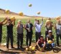 Elazığ’da Kavun Rekoltesi Yüzleri Güldürdü…